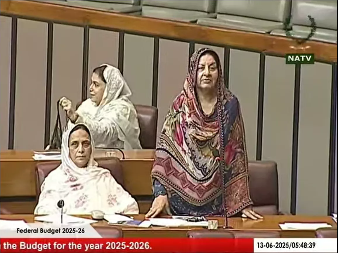 Voice of 25 karor awam.....Pakistan 🇵🇰 zindabad #Budget2025